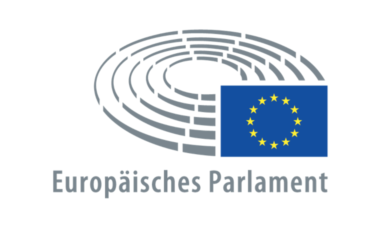 “Democratic Engagement Multiplier. European Parliament21” (DEM.EP21): 18-month communication project commissioned by the European Parliament.